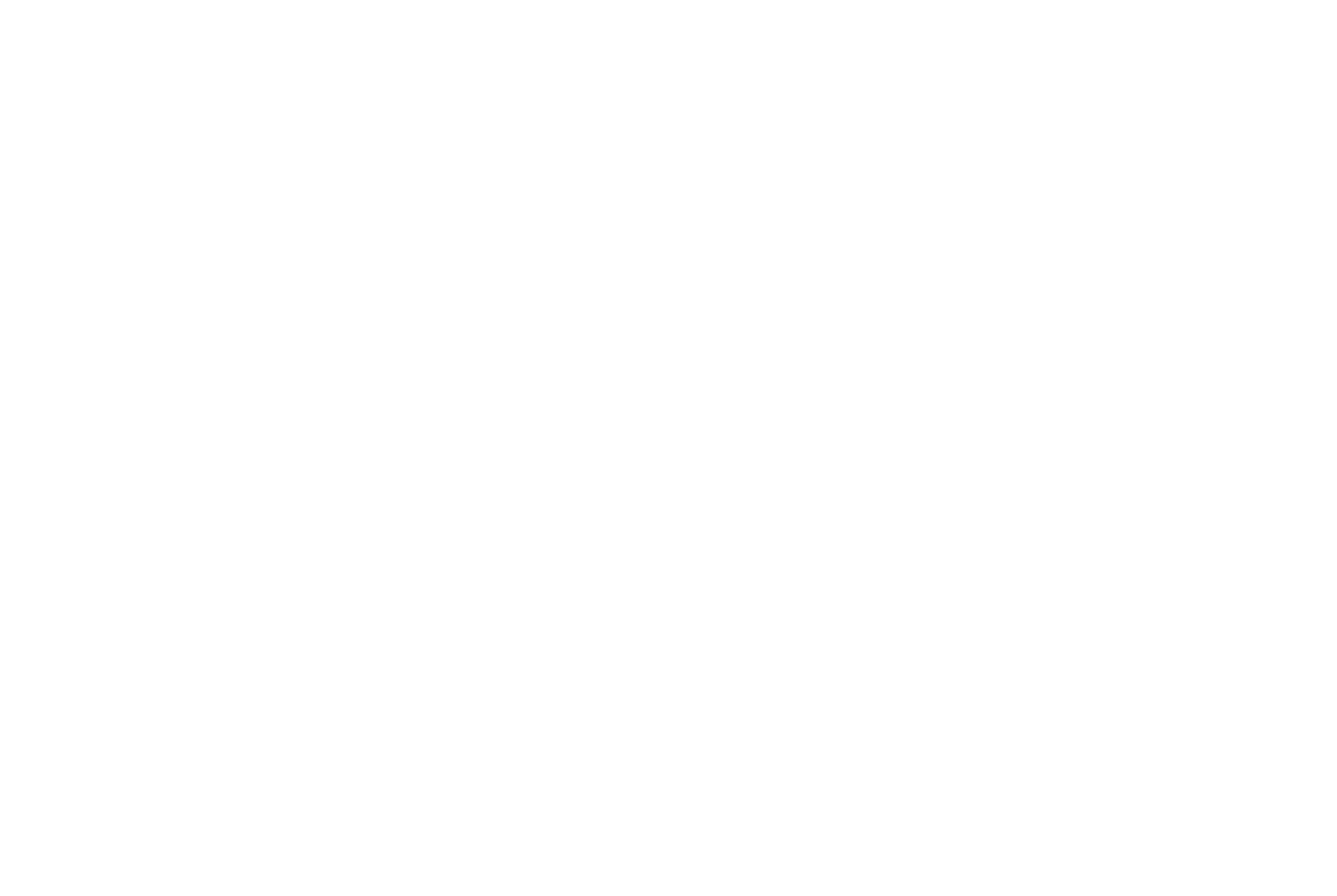 Slyder's Tavern logo